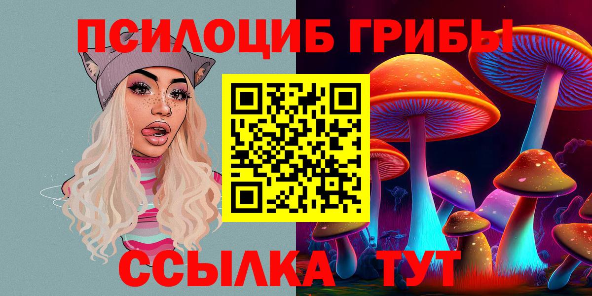 Псилоцибиновые грибы прущие грибы Тавда