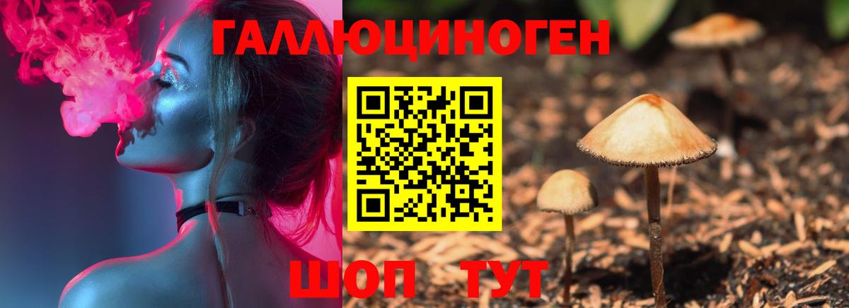Галлюциногенные грибы MAGIC MUSHROOMS  Псилоцибиновые грибы Cubensis  Тавда  что такое   Вход с VPN 