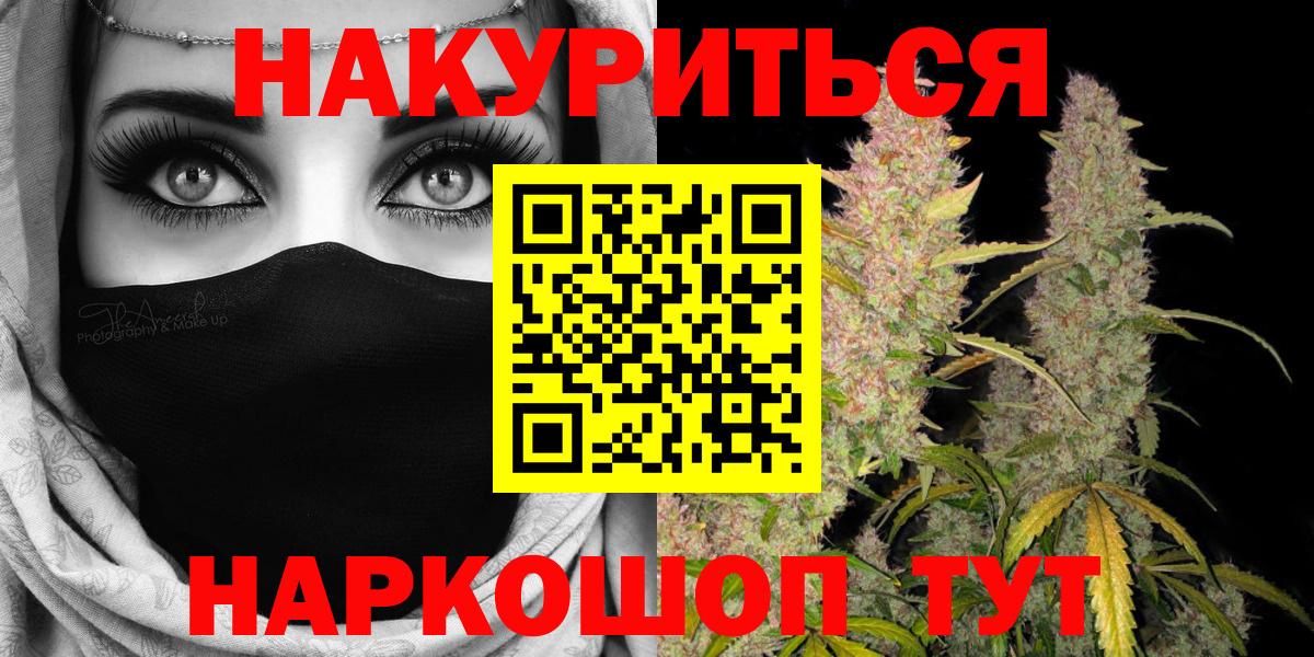 Бошки марихуана план  Каннабис VHQ  Вход с VPN  МАРИХУАНА ГИДРОПОН  Тавда  Марихуана индика 